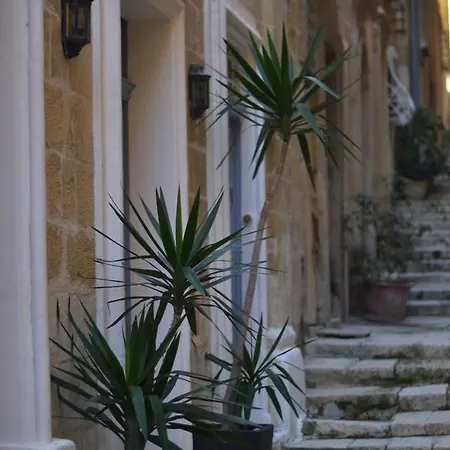 萨利港城市帕特酒店 *