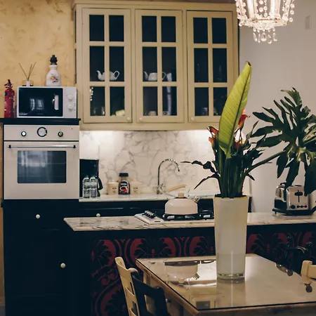 샐리 포트 시티 패드 발레타