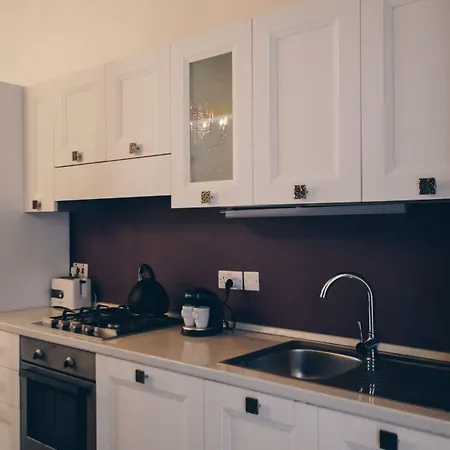 サリー ポート シティ パッド * バレッタ