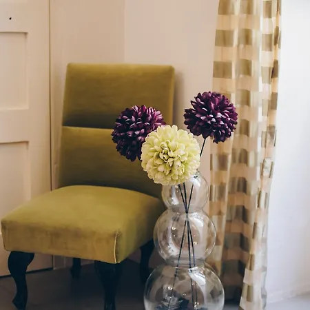 샐리 포트 시티 패드