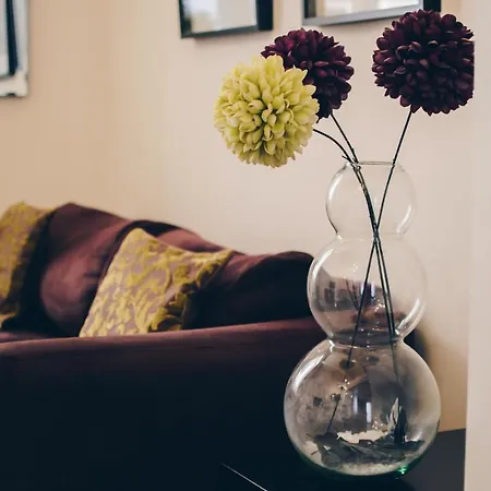 萨利港城市帕特酒店 公寓